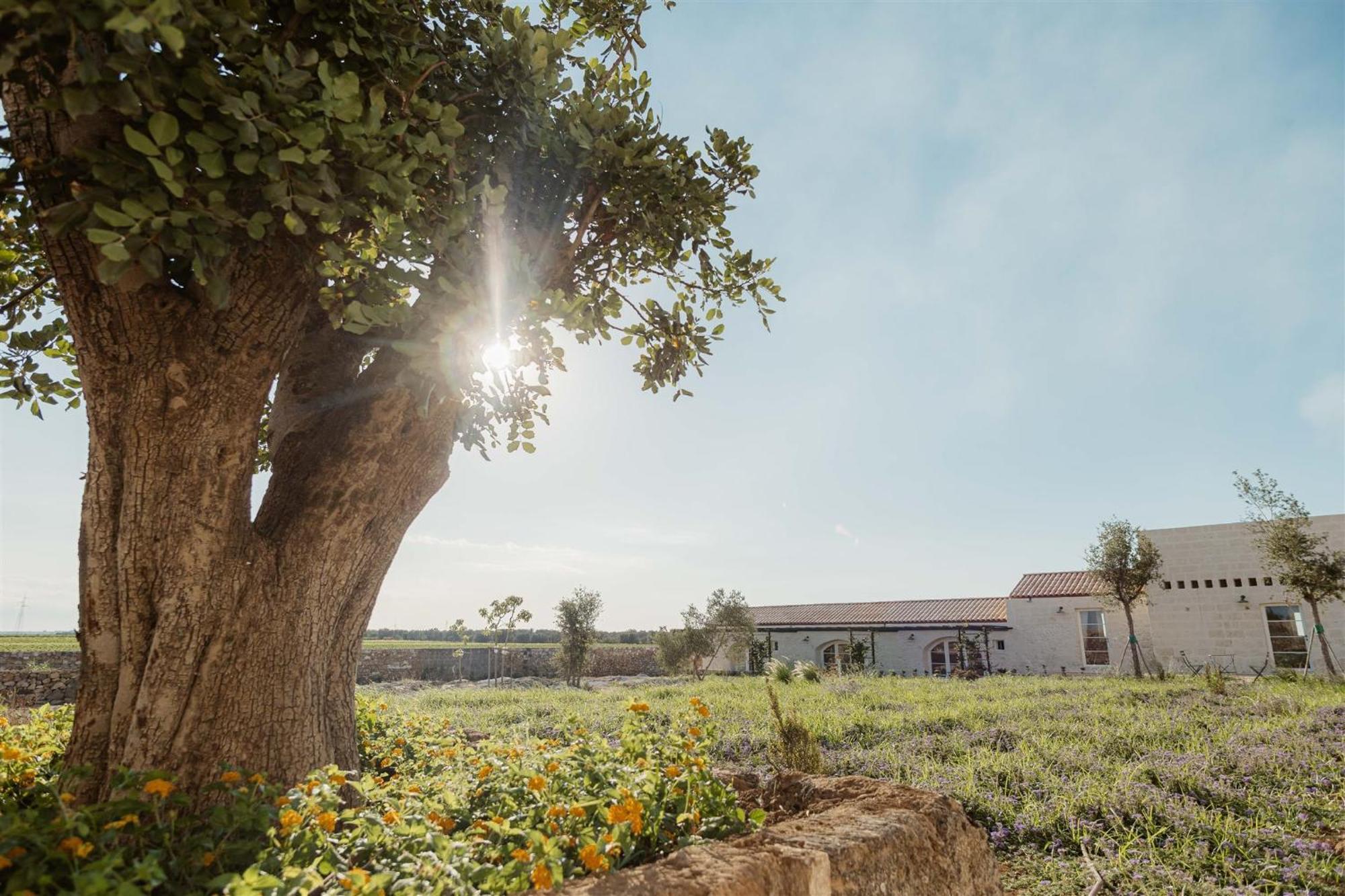 Masseria Vaccaro By Raro Villas - Self Check-In Brindisi Exterior photo